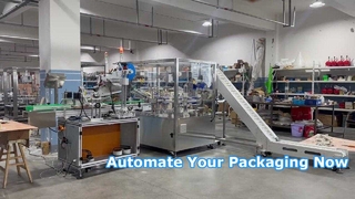 ZH100 เครื่องบรรจุกล่องโรตารี่แนวตั้ง